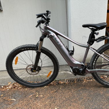 E-Bike Vall-E+ 2 Echeveria