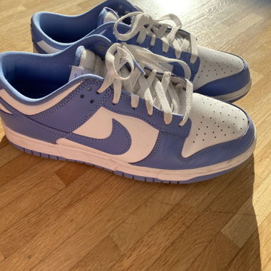 Nike Dunk low Polar Blue