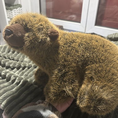 Peluche realistico – Cucciolo d'orso / Animale del bosco