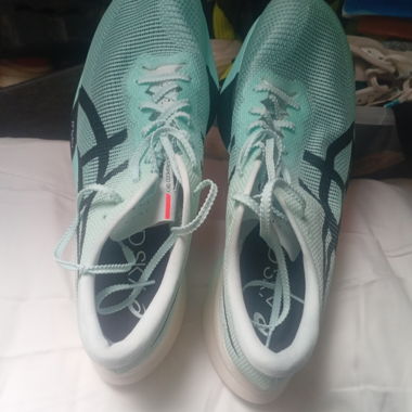 Asics metaspeed sky us 11,5 46