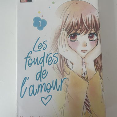 Manga Les Foudres de l'amour