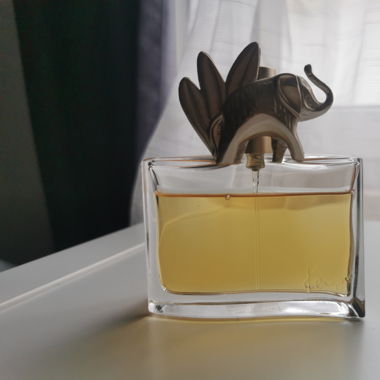 eau de parfum kenzo jungle 50ml