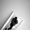 ammb_22