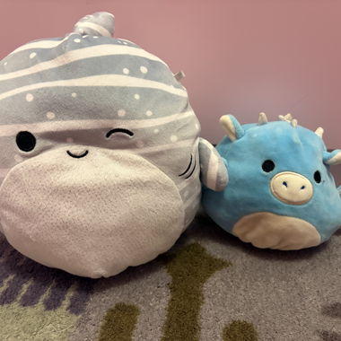 Squishmallows Plush Toys