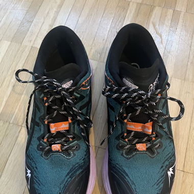 Schuhe Asics Fuji Lite 5 