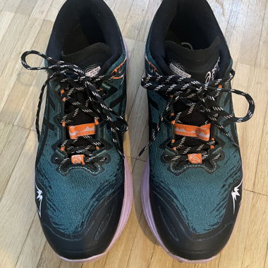 Schuhe Asics Fuji Lite 5 