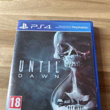 Until Dawn