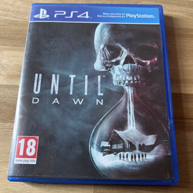 Until Dawn