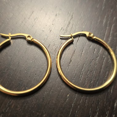 Gold Stainless Steel Earrings