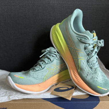Asics Puregel