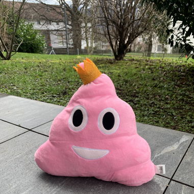 pink plushie plüschtier bzw kissen