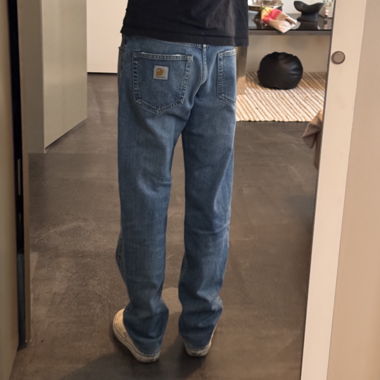 Carharrt Landon Pants