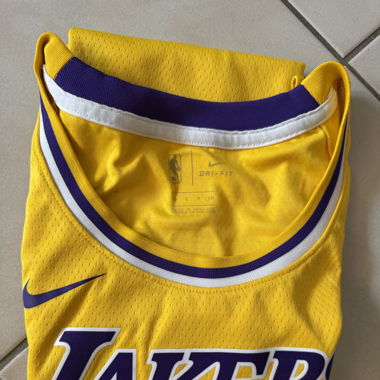 Maillot Nike Icon Lakers LBJ