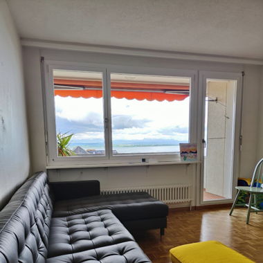 Ikea Ledersofa