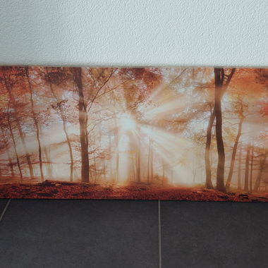 Wald/Sonne Leinwandbild