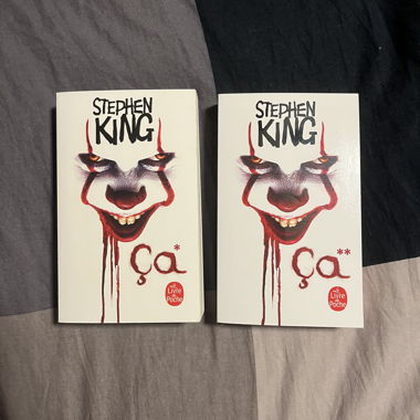 Set von 2 Stephen-King-Taschenbüchern Ça 1 und Ça 2