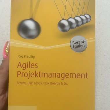Buch - Projektmanager 