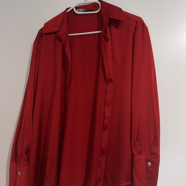 Red Blouse