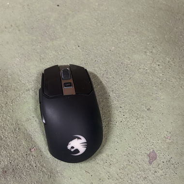 Souris gaming sans fil ROCCAT
