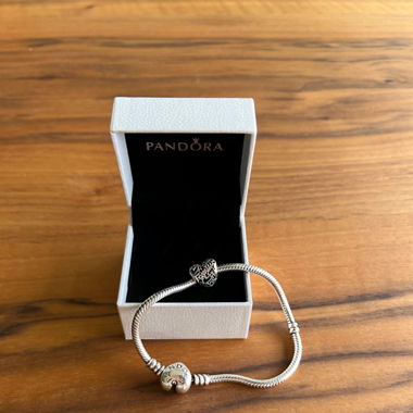 Charm Pandora