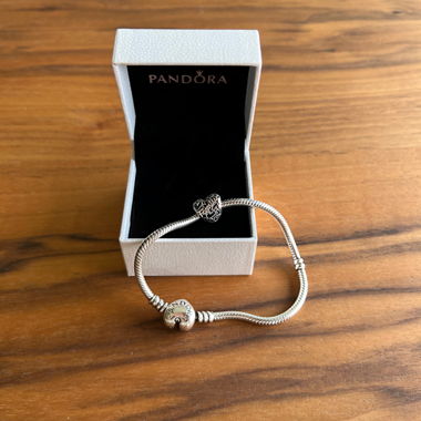 Charm Pandora
