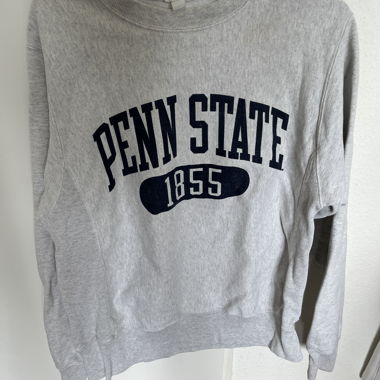 Graues Champion Sweatshirt