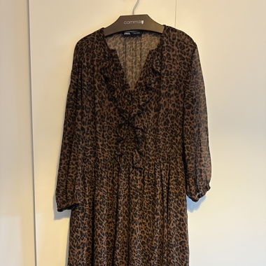 Zara dress