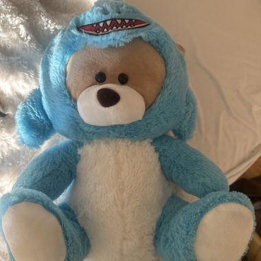 Teddy