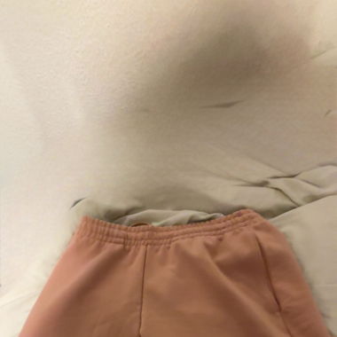 Lacoste shorts (neu)