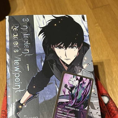 Omniscient Reader's Viewpoint Manga /  Manhwa