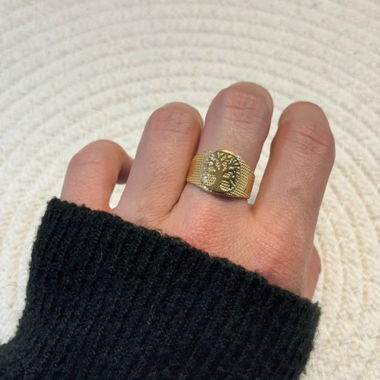 Bague acier inoxydable 