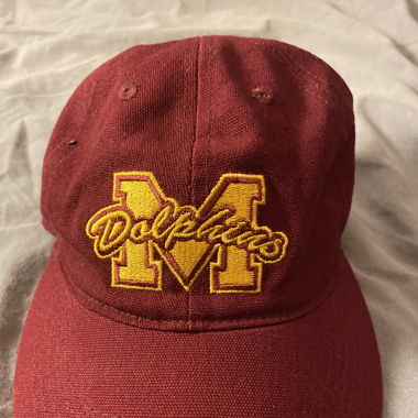 Dolphins Cap