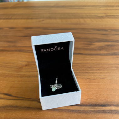 Charm Pandora