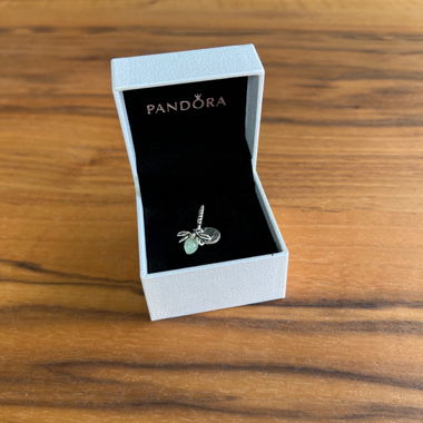 Pandora Charm