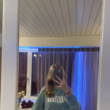 Puma Hoddie