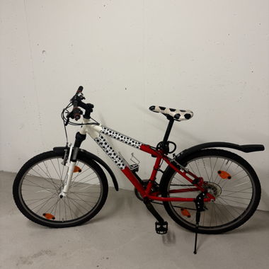 Vélo de trekking rouge-blanc