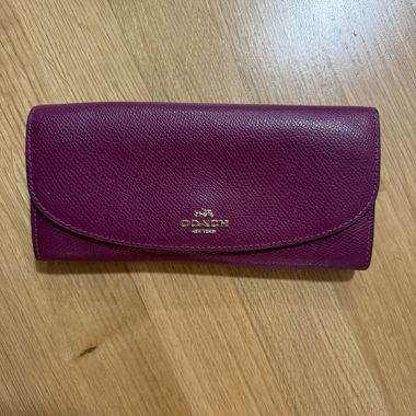 Portafoglio Coach