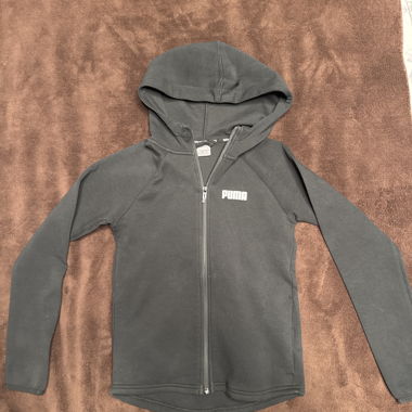 Sweat à capuche Puma gris avec fermeture éclair