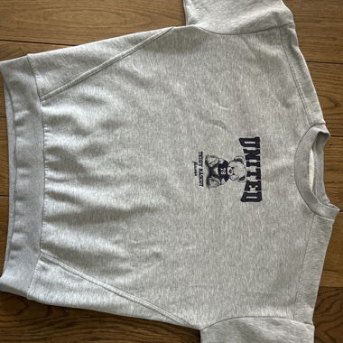 Teddy-Maskottchen Sweatshirt