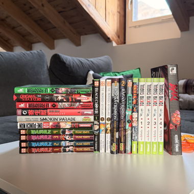 Lot de divers manga 