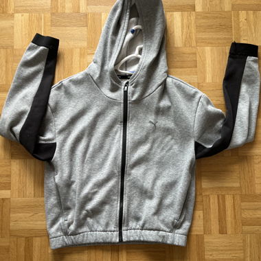 Puma jäggli