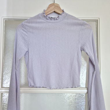 Cropped Sheer Top
