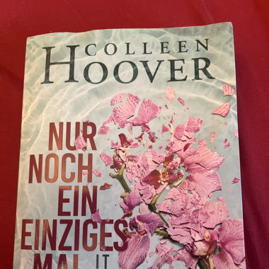 Roman: Nur noch ein einziges Mal (It ends with us)