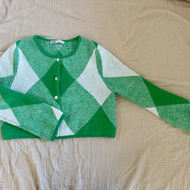 ZARA cardigan