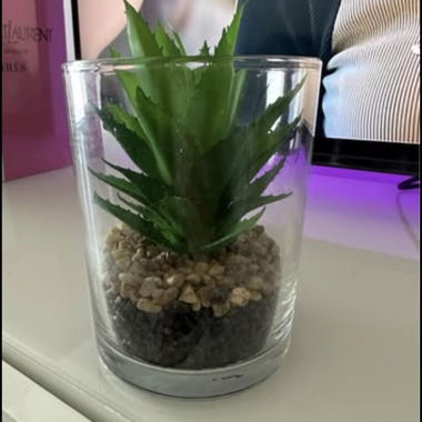 Plante artificielle 