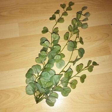 Branche d’eucalyptus artificiel