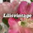 lilisvintage