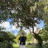 charline_Gl