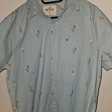 Hollister Stretch Shirt