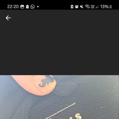 Adidas Ziphoodie